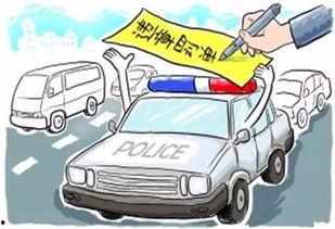 警察采购国产车辆流程视频,警察部门高效采购纪实