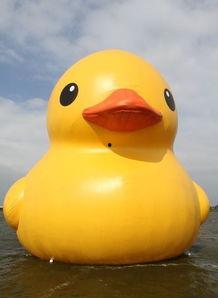 国产黄老鸭视频,趣味横生的国产动画新篇章