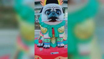 国产小青蛙视频 迅雷,迅雷带你领略国风魅力