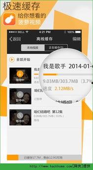 seo1短视频国产菠萝视频,探寻热带风情与美食诱惑
