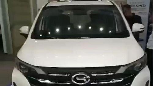 国产车撞到大狗视频,温情瞬间引发网友热议