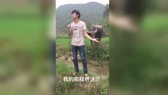 国产x福利视频种子,揭秘热门种子背后的精彩内容