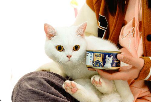 国产猫产品推荐大全视频,视频推荐大全解析